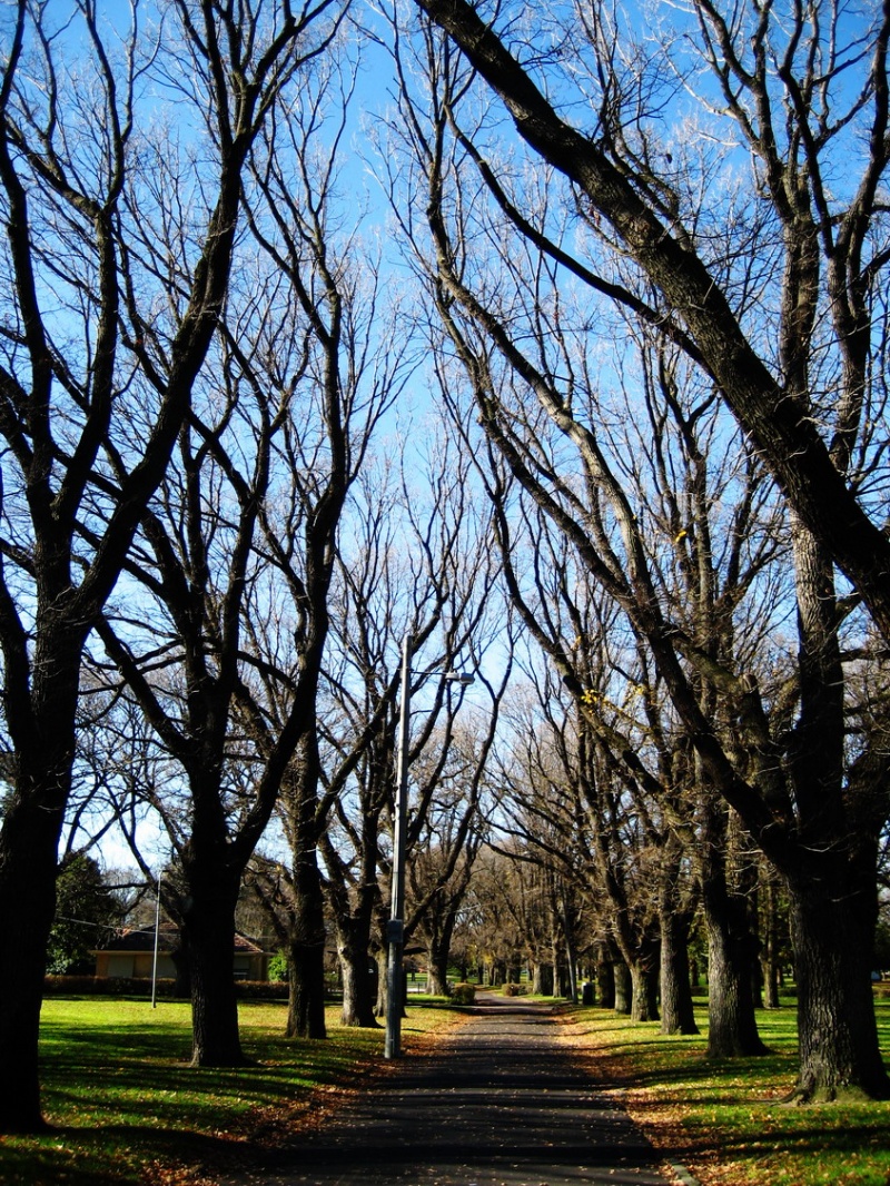 G I M production house