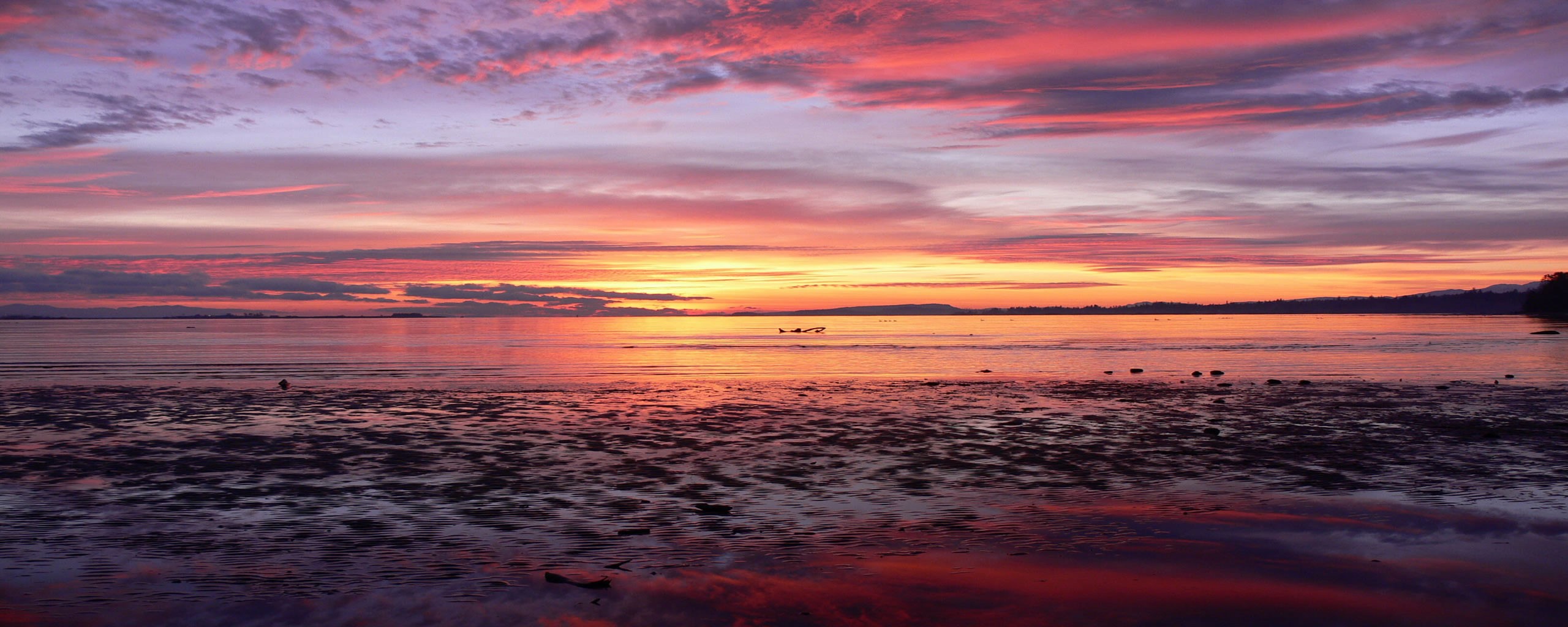 Greg King - Spiral Jetty
