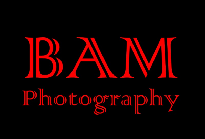 BAM Photo FL