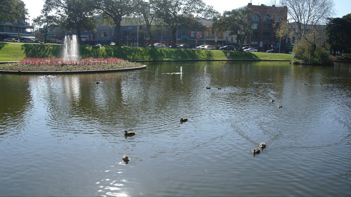 Lionel - Ducks