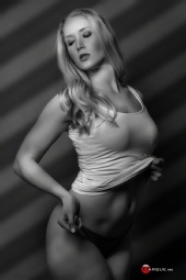 Darque Room  - Shadow Blinds