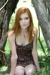 Dave Whitty Photography