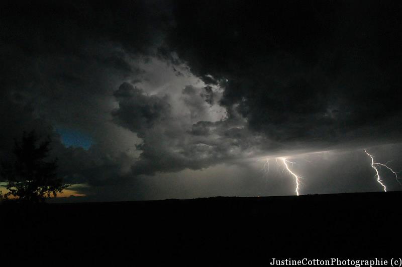 justinecottonphotography