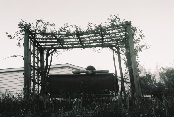 Rustic Ray Photography