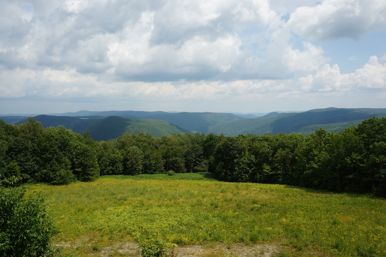 Joshua Oneil - The Berkshires