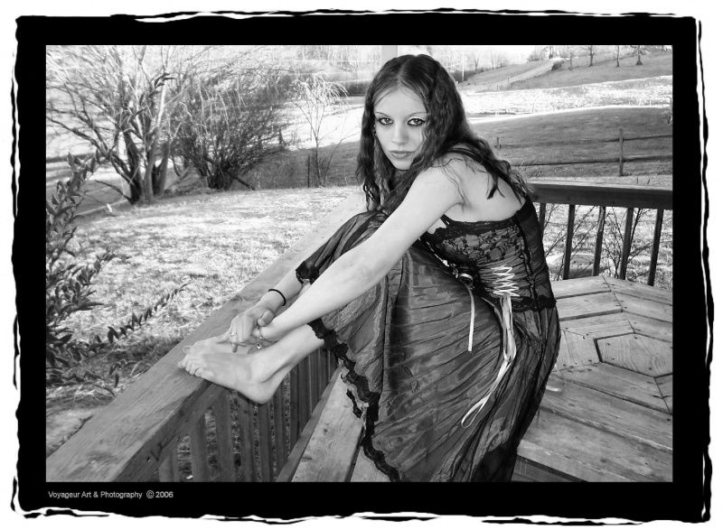 Voyageur Art and Photo