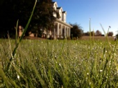 PFT Photography