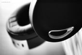 Christian - parrot zik