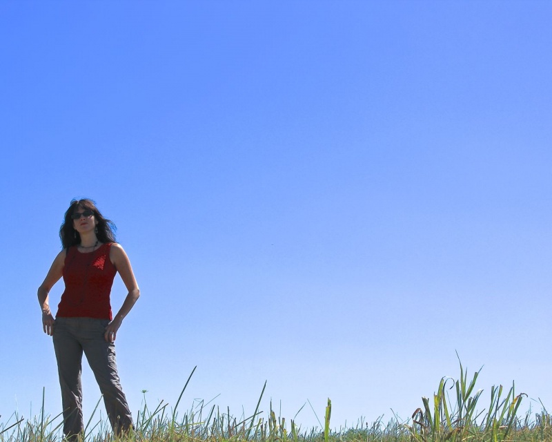 GreatWhiteNorthStudio