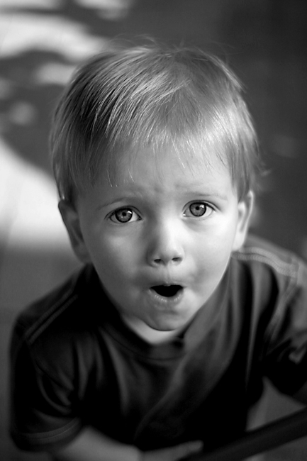 David Brand Photography