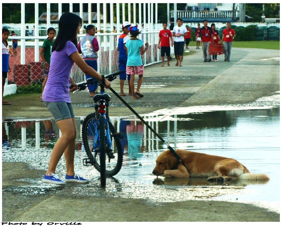 orville - just go on without me...