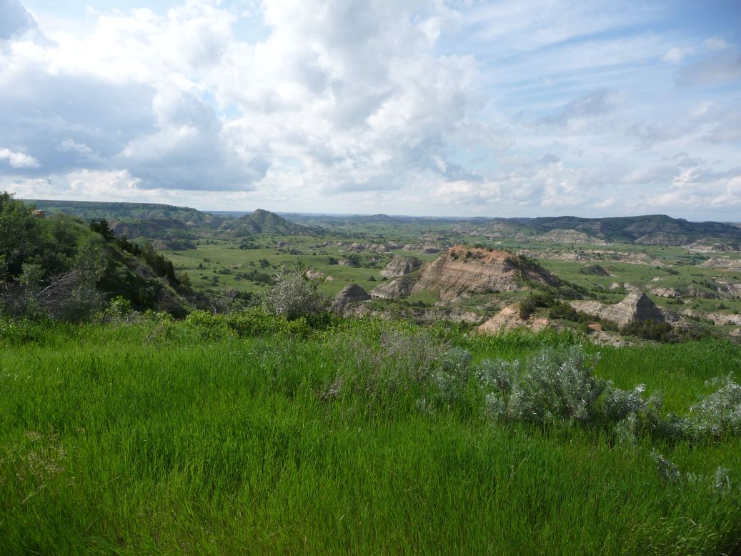 Bill Lenarz - Where the doggies play