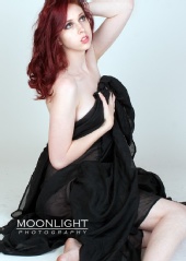 Moonlight Photography