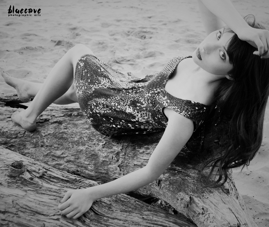 bluecave photographic arts