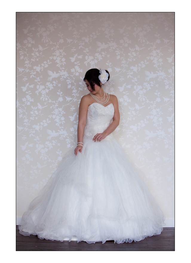 Joseph Adams Photograph