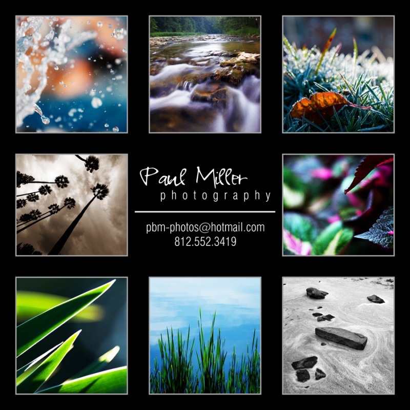 Paul Miller Photography