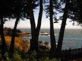 Paul Homburger - Sea Cove