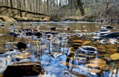 Chris Conway - Autumn Stream