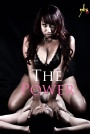 Your Beauty Studios - Women know in their mind they can get a 