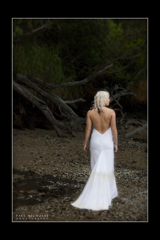 paulnphoto