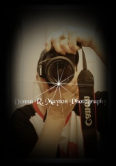 zoomstudio101