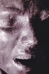 Ian Mizrah