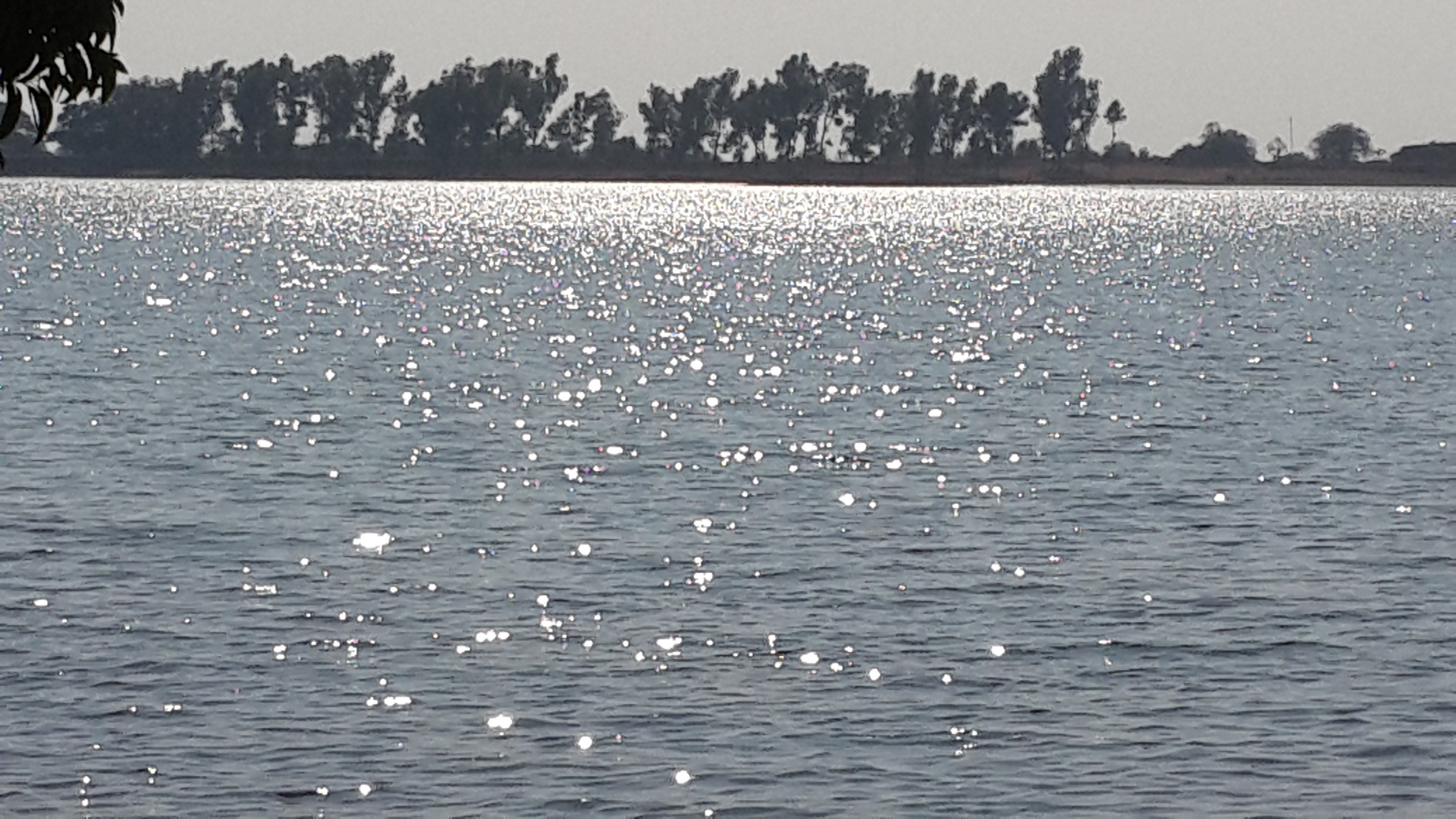 Ashwini Kumar - Dam Water