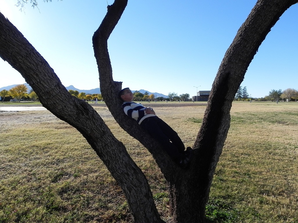 Jose - Dreaming of future