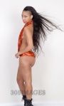 305Images