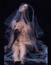 john supple
