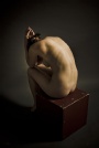 Michael Godek