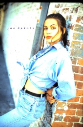 joe dakota