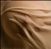 veiled wonder