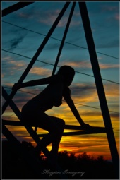 Sunset Silloette