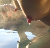Nipple Drip